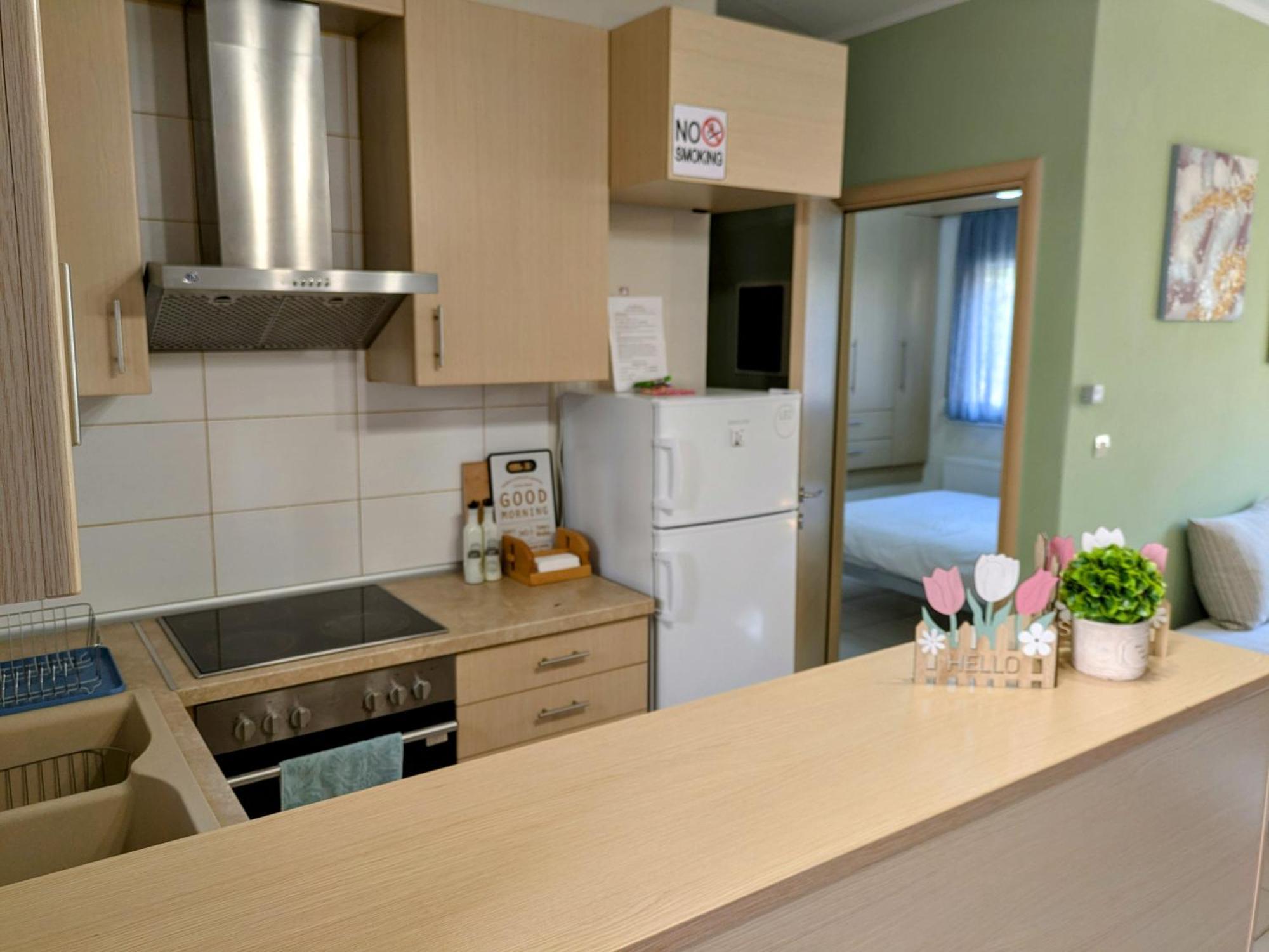 Elpida'S Houses 1 Private Parking テッサロニキ エクステリア 写真